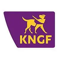 Klik hier voor het aanvraagformulier van KNGF Geleidehonden